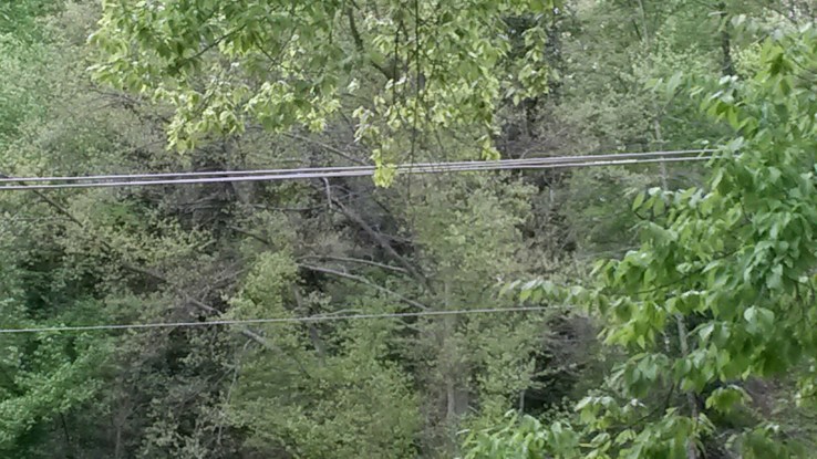 20170423_174424_resized