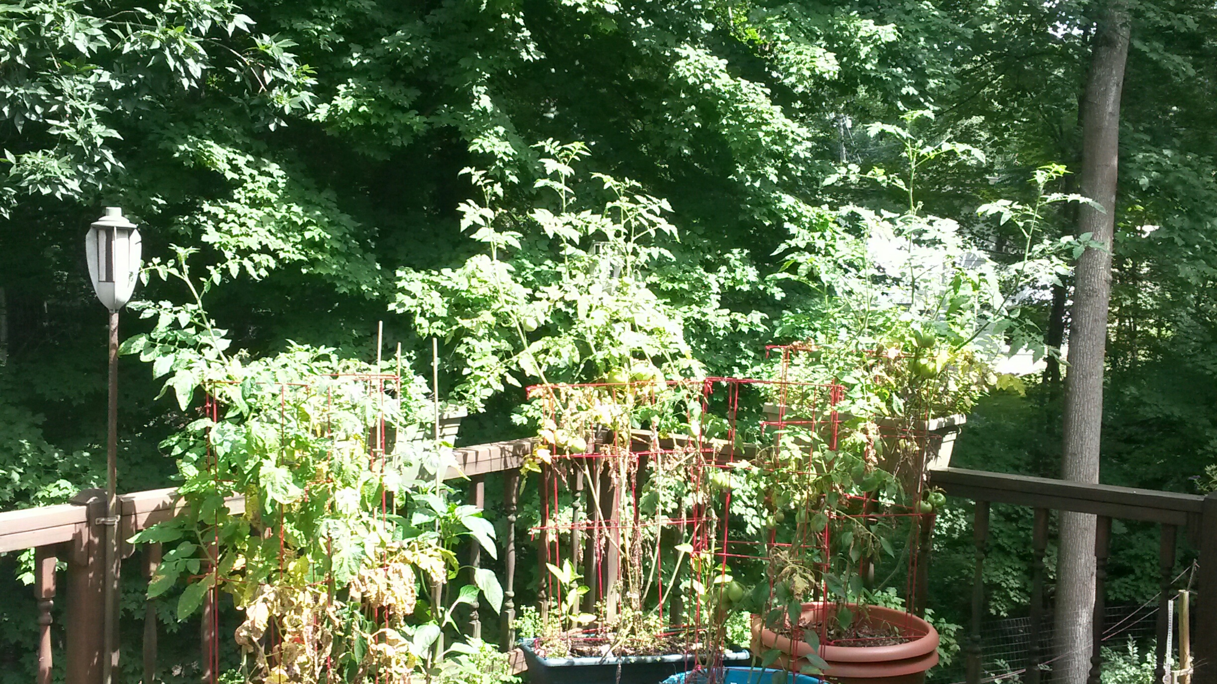 20170630_154904_resized