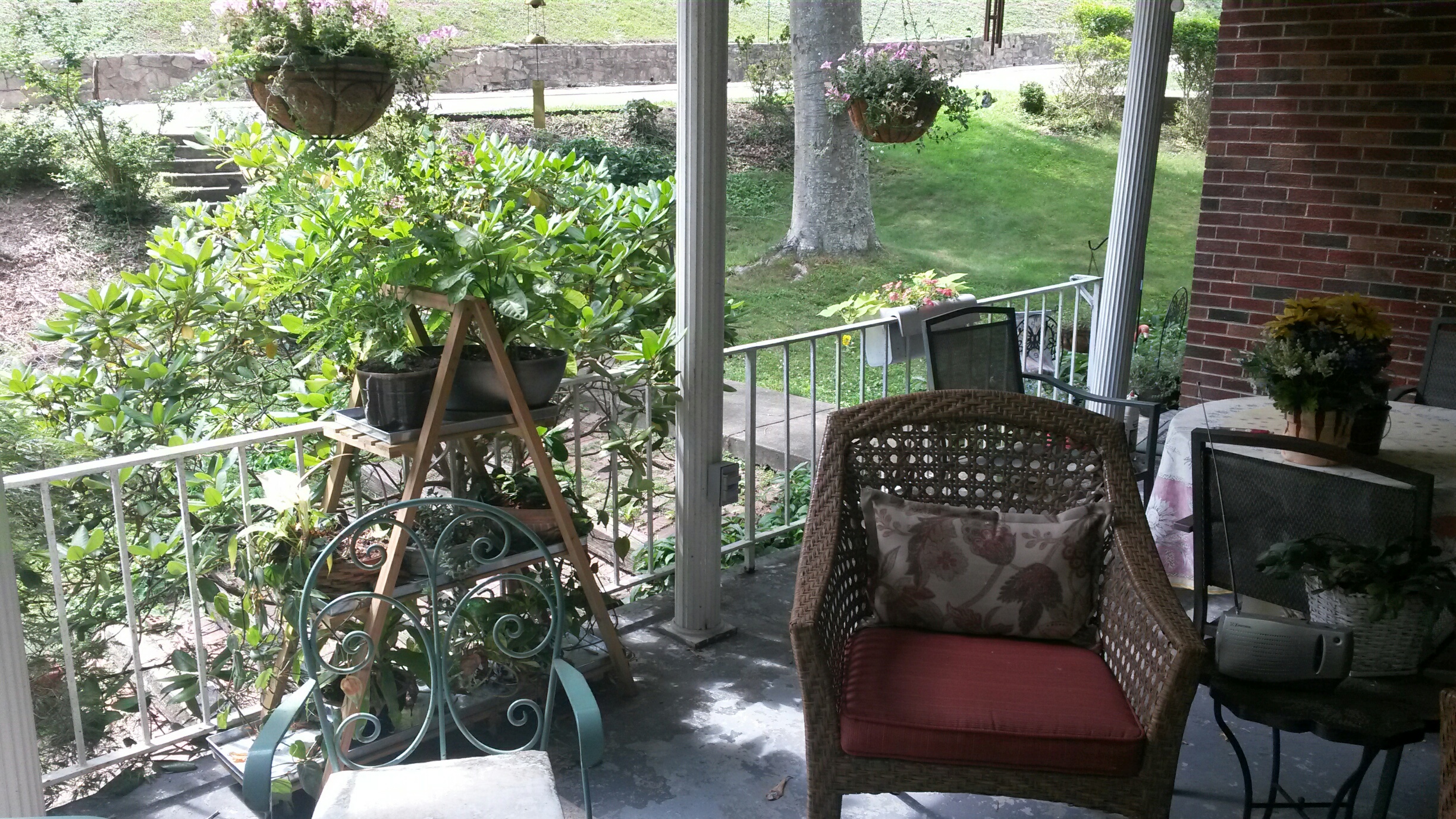 20170630_155015_resized