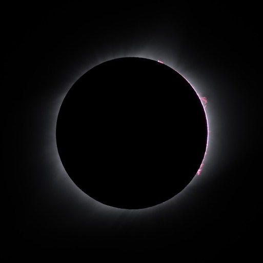 2017-08-22_599c31f75a299_DSC_2437TCropPS_1000