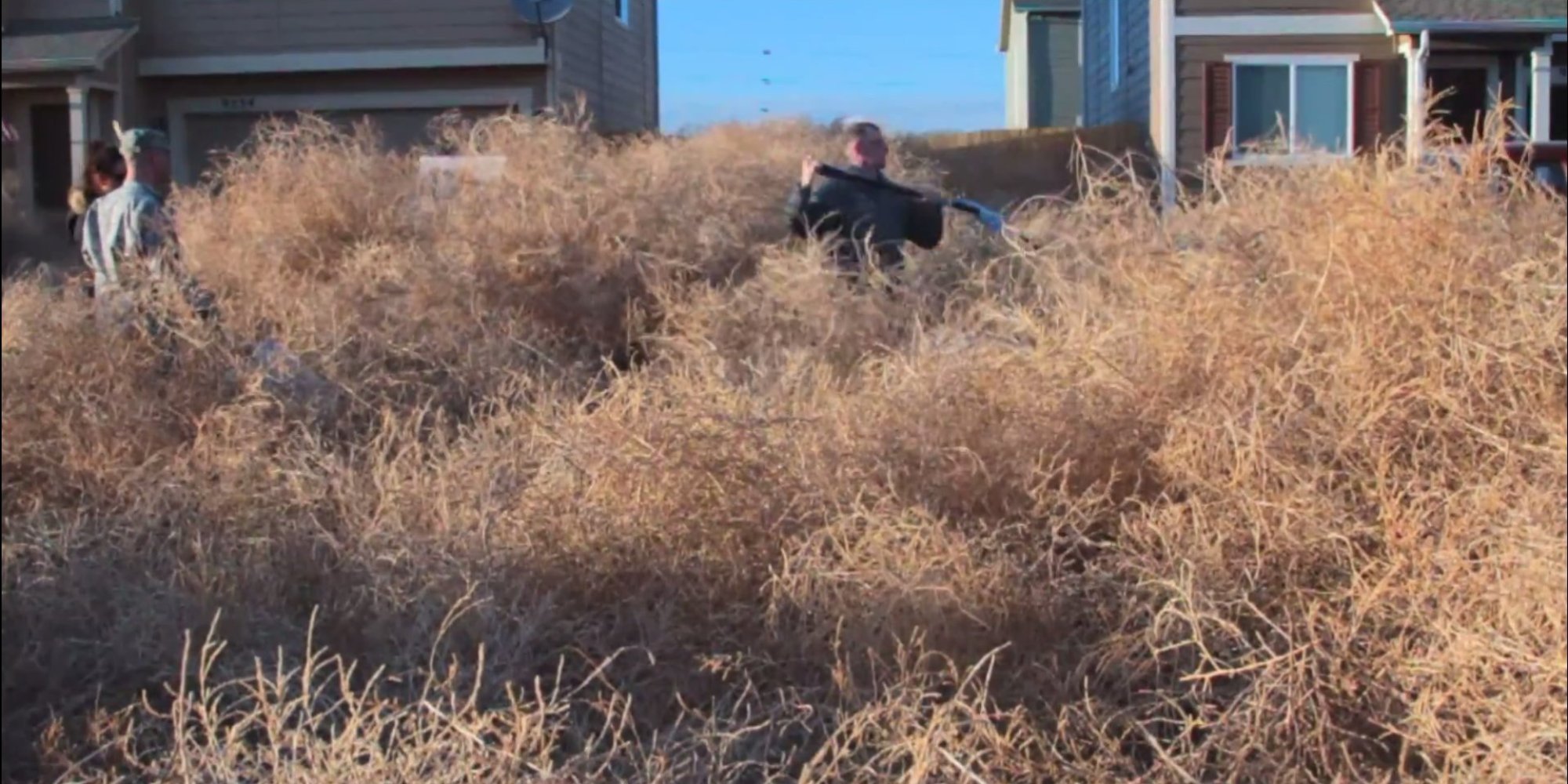 Tumbleweeds